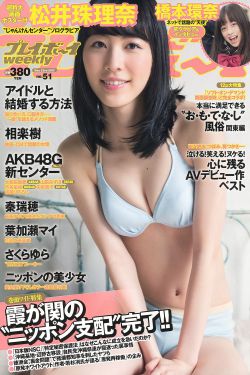 激情燃烧的岁月第二部